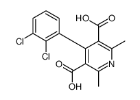 4-(2,3-dichlorophenyl)-2,6-dimethylpyridine-3,5-dicarboxylic acid Structure