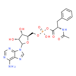 N-acetylphenylalanyl-adenosine monophosphate-anhydride Structure