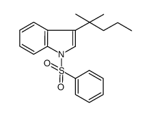 3-(2-methylpentan-2-yl)-1-phenylsulfonyl-1H-indole结构式