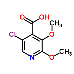 5-氯-2,3-二甲氧基异烟酸结构式