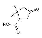 2,2-dimethyl-4-oxocyclopentane-1-carboxylic acid结构式