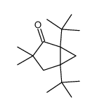 3,3-dimethyl-1,5-ditert-butyl-bicyclo[3.1.0]hexan-4-one picture
