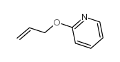 2-烯丙氧基吡啶结构式