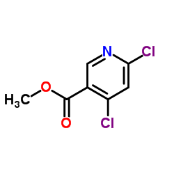甲基 4,6-二氯烟酸酯图片