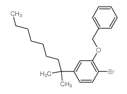 1-bromo-4-(2-methylnonan-2-yl)-2-phenylmethoxybenzene Structure
