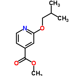 Methyl 2-isobutoxyisonicotinate Structure