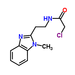 2-Chloro-N-[2-(1-methyl-1H-benzimidazol-2-yl)ethyl]acetamide结构式