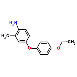 4-(4-Ethoxyphenoxy)-2-methylaniline结构式