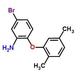 5-Bromo-2-(2,5-dimethylphenoxy)aniline结构式