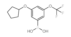 3-(环戊基氧基)-5-(三氟甲氧基)苯硼酸结构式