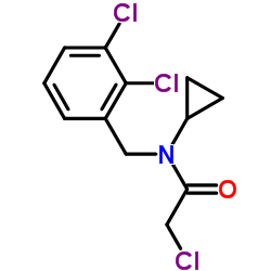 2-Chloro-N-cyclopropyl-N-(2,3-dichlorobenzyl)acetamide结构式