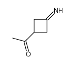 Ethanone, 1-(3-iminocyclobutyl)- (9CI) Structure