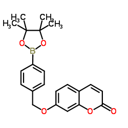 7-{[4-(4,4,5,5-Tetramethyl-1,3,2-dioxaborolan-2-yl)benzyl]oxy}-2H-chromen-2-one Structure