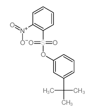 Benzenesulfonic acid,2-nitro-, 3-(1,1-dimethylethyl)phenyl ester结构式