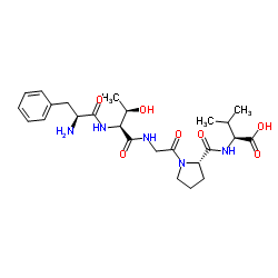 [Thr46]-Osteocalcin (45-49) (human)结构式