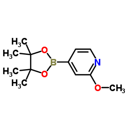 2-Methoxypyridine-4-boronic acid, pinacol ester structure