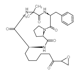 Chlamydocin图片