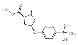 Methyl (2S,4S)-4-[4-(tert-butyl)phenoxy]-2-pyrrolidinecarboxylate结构式