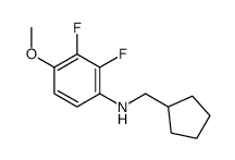 N-(cyclopentylmethyl)-2,3-difluoro-4-methoxyaniline结构式