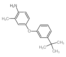 4-[3-(tert-Butyl)phenoxy]-2-methylphenylamine结构式