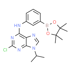 2-CHLORO-9-ISOPROPYL-N-(3-(4,4,5,5-TETRAMETHYL-1,3,2-DIOXABOROLAN-2-YL)PHENYL)-9H-PURIN-6-AMINE structure