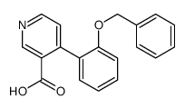 4-(2-phenylmethoxyphenyl)pyridine-3-carboxylic acid结构式