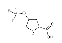 4-(Trifluoromethoxy)proline结构式