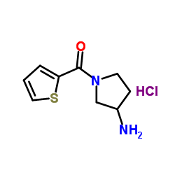 (3-Amino-pyrrolidin-1-yl)-thiophen-2-yl-Methanone hydrochloride结构式