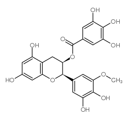 298700-56-8 structure