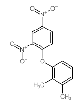 1-(2,3-dimethylphenoxy)-2,4-dinitro-benzene Structure