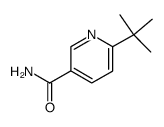 6-t-butylpyridine-3-carboxamide Structure