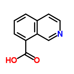 8-Isoquinolinecarboxylic acid picture
