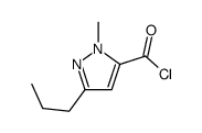 1H-Pyrazole-5-carbonyl chloride, 1-methyl-3-propyl- (9CI)结构式