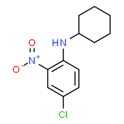 N-(4-chloro-2-nitrophenyl)-N-cyclohexylamine Structure