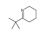 6-tert-butyl-2,3,4,5-tetrahydropyridine picture