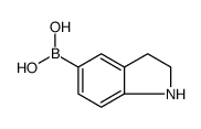 Boronic acid, B-(2,3-dihydro-1H-indol-5-yl) Structure