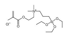 dimethyl[2-[(2-methyl-1-oxoallyl)oxy]ethyl][3-(triethoxysilyl)propyl]ammonium chloride结构式
