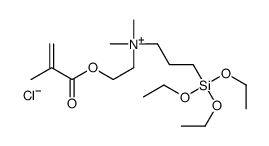 dimethyl[2-[(2-methyl-1-oxoallyl)oxy]ethyl][3-(triethoxysilyl)propyl]ammonium chloride Structure