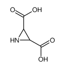 S-2,3-二羧基氮丙啶结构式