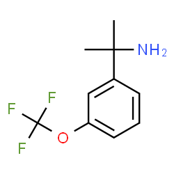 2-(3-(三氟甲氧基)苯基)丙基-2-胺盐酸盐图片