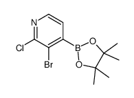 3-BROMO-2-CHLOROPYRIDINE-4-BORONIC ACID PINACOL ESTER picture