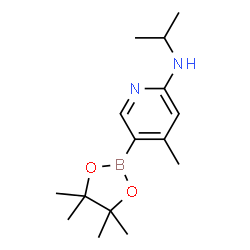 N-isopropyl-4-Methyl-5-(4,4,5,5-tetramethyl-1,3,2-dioxaborolan-2-yl)pyridin-2-amine picture
