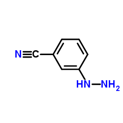 3-Hydrazinobenzonitrile structure