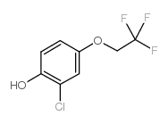 2-chloro-4-(2,2,2-trifluoroethoxy)phenol Structure