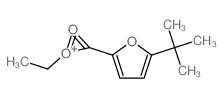 5-tert-Butyl-furan-2-carbonsaeure-aethylester结构式