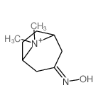 8-Azoniabicyclo[3.2.1]octane,3-(hydroxyimino)-8,8-dimethyl-, iodide (1:1) structure