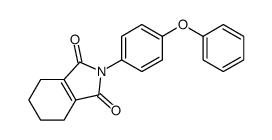 2-(4-phenoxyphenyl)-4,5,6,7-tetrahydroisoindole-1,3-dione Structure