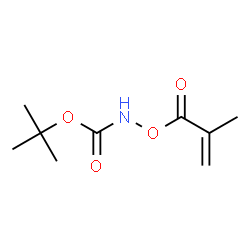 Carbamic acid, [(2-methyl-1-oxo-2-propenyl)oxy]-, 1,1-dimethylethyl ester (9CI) Structure