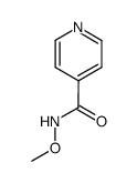 4-Pyridinecarboxamide,N-methoxy-(9CI)结构式
