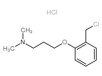 3-(2-(氯甲基)苯氧基)-N,N-二甲基丙-1-胺盐酸盐结构式